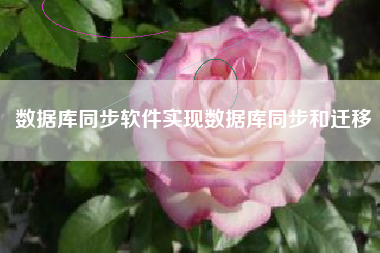 数据库同步软件实现数据库同步和迁移