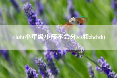chsh(小年级小孩不会分scz和zhchsh)