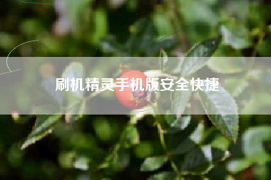 刷机精灵手机版安全快捷