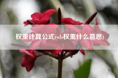 权重计算公式(wls权重什么意思)
