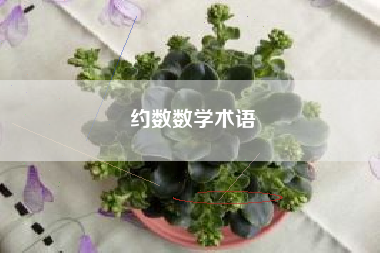 约数数学术语