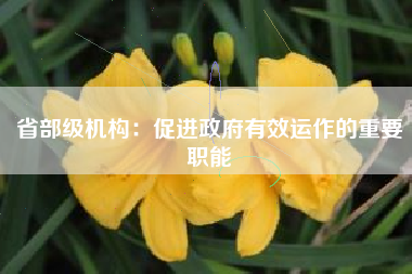 省部级机构:促进政府有效运作的重要职能