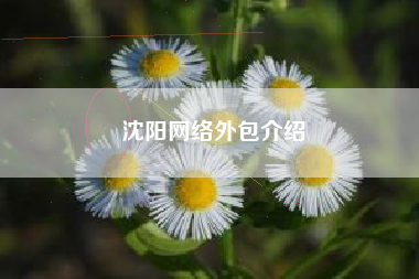 沈阳网络外包介绍