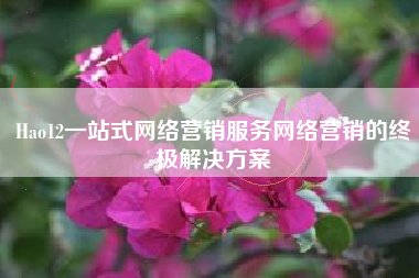 Hao12一站式网络营销服务网络营销的终极解决方案