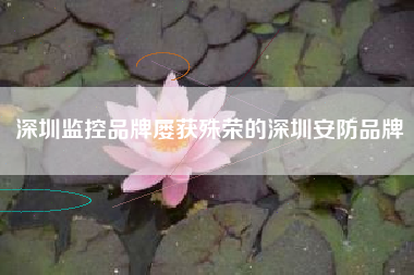 深圳监控品牌屡获殊荣的深圳安防品牌
