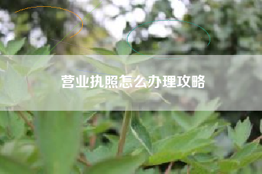 营业执照怎么办理攻略