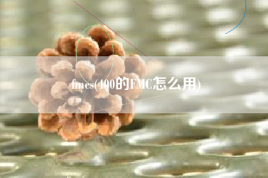 fmcs(400的FMC怎么用)