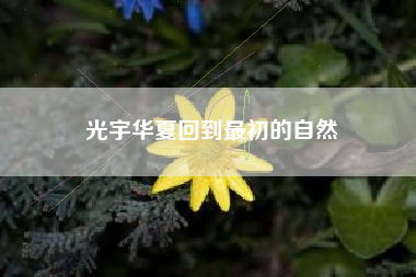 光宇华夏回到最初的自然
