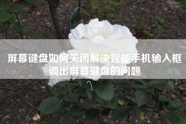 屏幕键盘如何关闭解决智能手机输入框调出屏幕键盘的问题