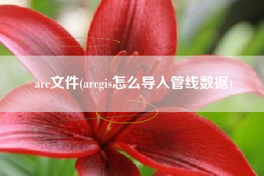 arc文件(arcgis怎么导入管线数据)