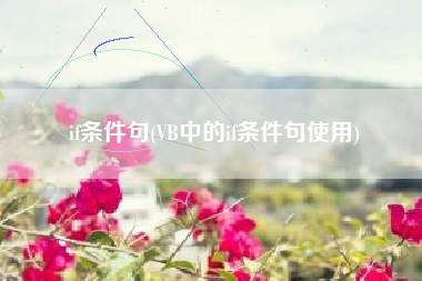 if条件句(VB中的if条件句使用)
