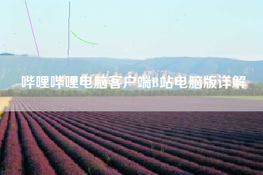 哔哩哔哩电脑客户端B站电脑版详解