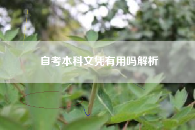 自考本科文凭有用吗解析