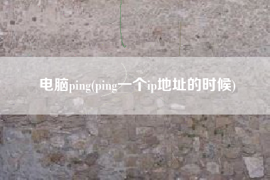 电脑ping(ping一个ip地址的时候)