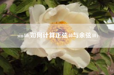 sin40(如何计算正弦40与余弦40)