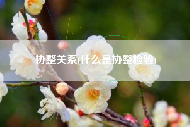 协整关系(什么是协整检验)