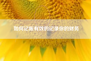 如何记帐有效的记录你的财务