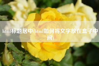 html标题居中(html如何将文字放在盒子中间)
