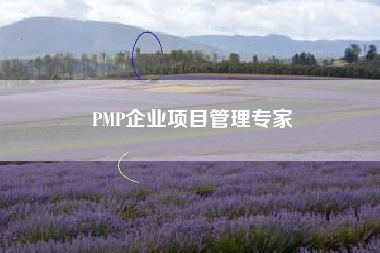PMP企业项目管理专家