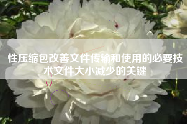 性压缩包改善文件传输和使用的必要技术文件大小减少的关键