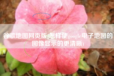 谷歌地图网页版(怎样使google电子地图的图像显示的更清晰)