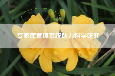 专家库管理系统助力科学研究