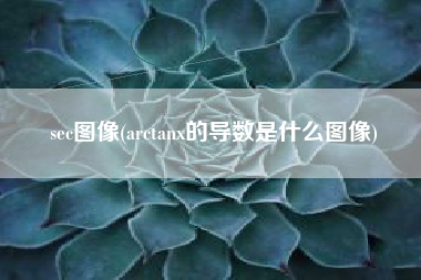 sec图像(arctanx的导数是什么图像)