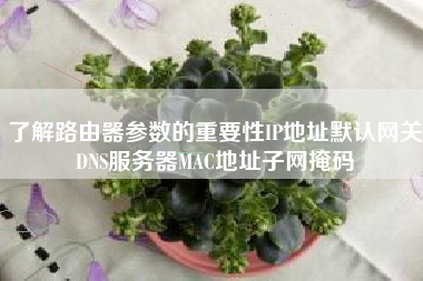 了解路由器参数的重要性IP地址默认网关DNS服务器MAC地址子网掩码