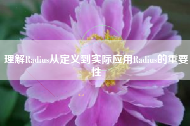 理解Radius从定义到实际应用Radius的重要性