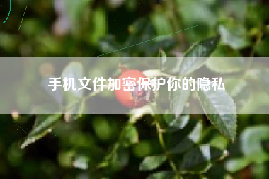 手机文件加密保护你的隐私