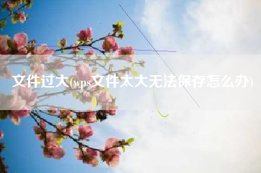 文件过大(wps文件太大无法保存怎么办)