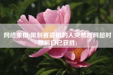 网络象棋(限制要赢棋的人突然断网超时然后自己获胜)