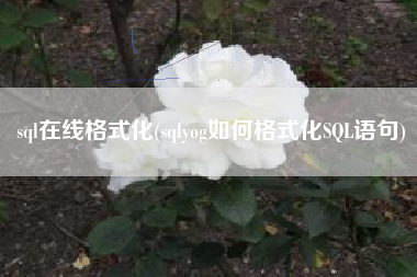 sql在线格式化(sqlyog如何格式化SQL语句)