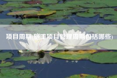 项目周期(施工项目管理周期包括哪些)