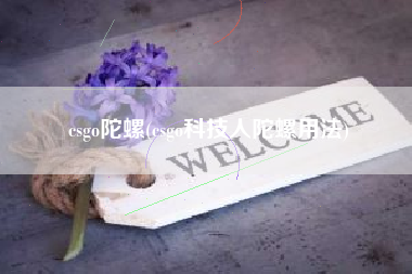 csgo陀螺(csgo科技人陀螺用法)