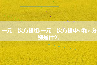 一元二次方程组(一元二次方程中x1和x2分别是什么)