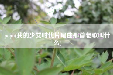 popu(我的少女时代片尾曲那首老歌叫什么)