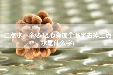 三点水一个必(竖心旁加个温字去掉三点水是什么字)