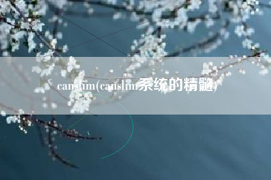 canslim(canslim系统的精髓)