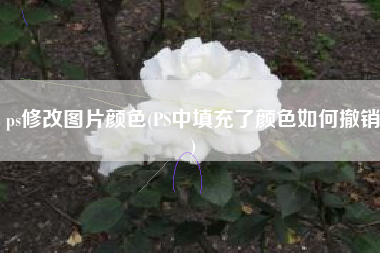 ps修改图片颜色(PS中填充了颜色如何撤销)