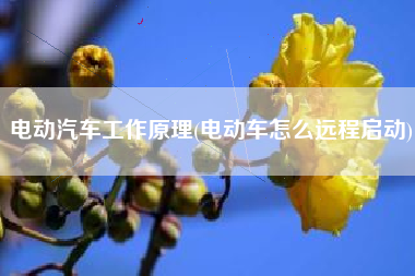 电动汽车工作原理(电动车怎么远程启动)