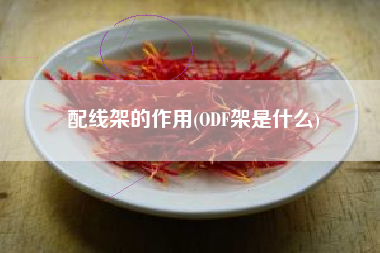 配线架的作用(ODF架是什么)