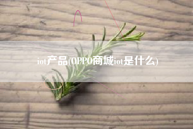 iot产品(OPPO商城iot是什么)