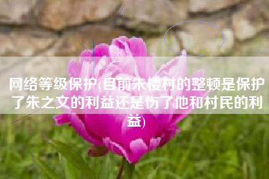 网络等级保护(目前朱楼村的整顿是保护了朱之文的利益还是伤了他和村民的利益)