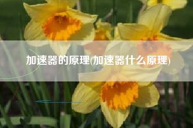 加速器的原理(加速器什么原理)