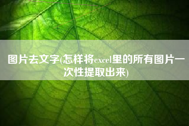 图片去文字(怎样将excel里的所有图片一次性提取出来)