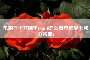 电脑显卡在哪里(win10怎么看电脑显卡和分辨率)