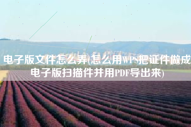 电子版文件怎么弄(怎么用WPS把证件做成电子版扫描件并用PDF导出来)