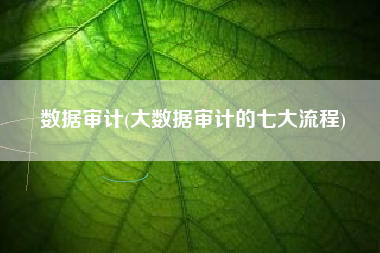 数据审计(大数据审计的七大流程)