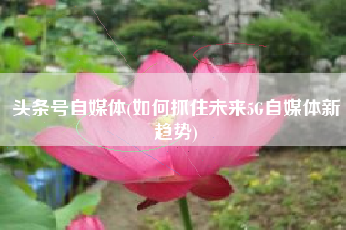 头条号自媒体(如何抓住未来5G自媒体新趋势)